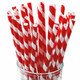 Red & White Striped Biodegradable Paper Straws